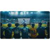 Futballkapu 300 x 200 x 90 cm NS-497 fekete