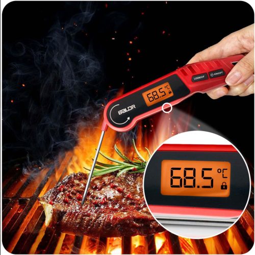 Konyhai hőmérő húshoz, tűszonda, Baldr BD-130