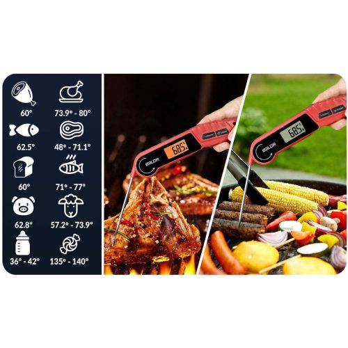 Konyhai hőmérő húshoz, tűszonda, Baldr BD-130