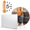 Infravörös fűtőberendezés 800W Berdsen BD-986