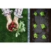 Kerti agrotextília 1,6 m x 100 m 90 g/m2 + 100 Plonos gombostű - fekete