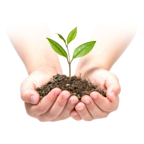 Kerti agrotextília 1,6 m x 50 m 90 g/m2 + 100 Plonos gombostű - zöld