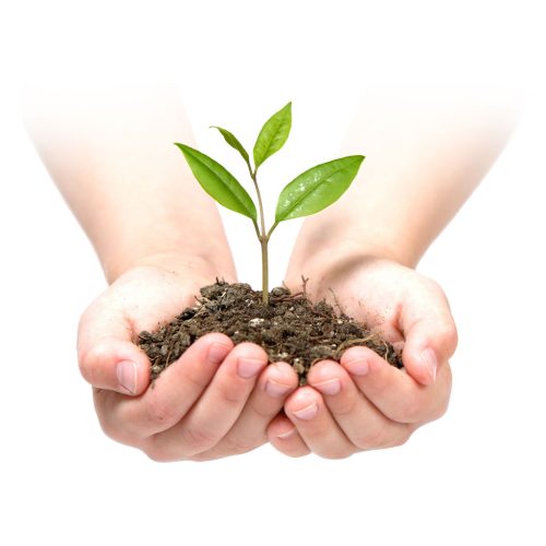 Kerti agrotextil 1,6 m x 50 m 90 g/m2 + 50 Plonos gombostű - fekete