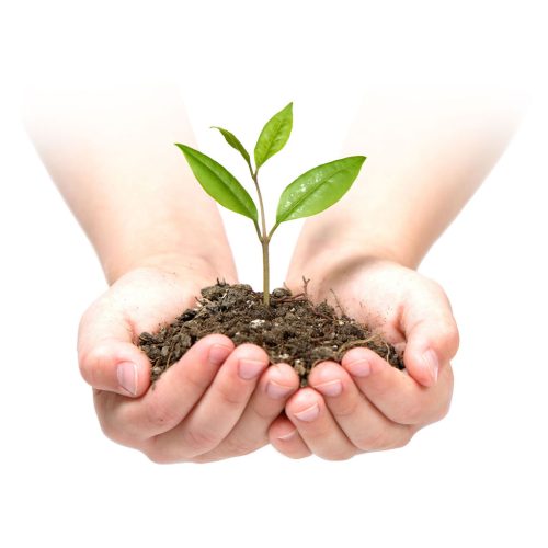 Kerti agrotextília 1,6 m x 100 m 90 g/m2 + 100 Plonos gombostű - fekete