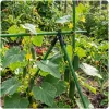 11 mm-es A-típusú póluscsatlakozók paradicsomnövényekhez Plonos PL-941 fekete 4 db