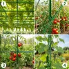 11 mm-es, 2 pólusú csatlakozók paradicsomnövényekhez Plonos PL-941 zöld 10 db