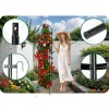 Kerti pergola oszlop 200 cm Plonos PL-992