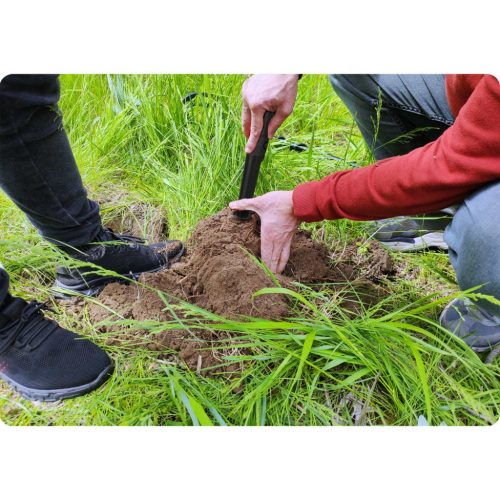 Femdetektor - Pinpointer Cobra detektor CT-1077