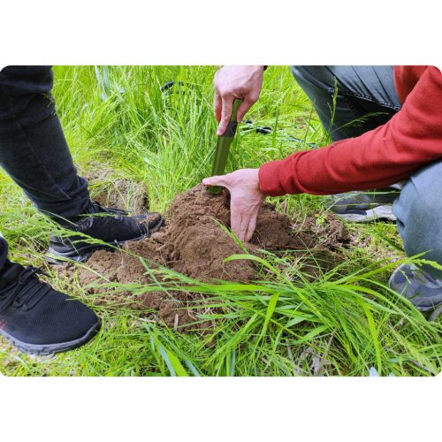 Femdetektor - Pinpointer Cobra detektor CT-1078