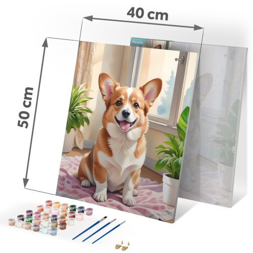 Festés szám szerint 40x50 cm Massido Corgi kutya