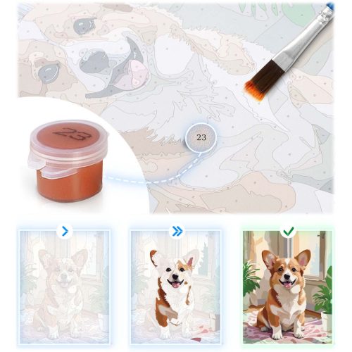 Festés szám szerint 40x50 cm Massido Corgi kutya