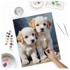 Festés szám szerint 40x50 cm Massido Puppies