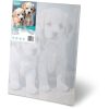 Festés szám szerint 40x50 cm Massido Puppies