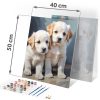 Festés szám szerint 40x50 cm Massido Puppies
