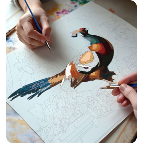 Számokkal festhető kép 40x50 cm Massido Fácán