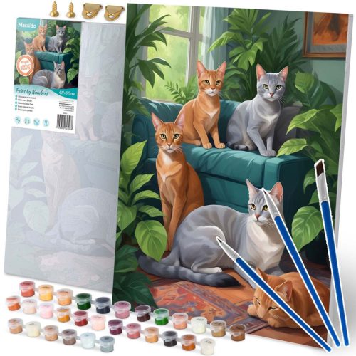 Számokkal festhető kép 40x50 cm Massido Cats