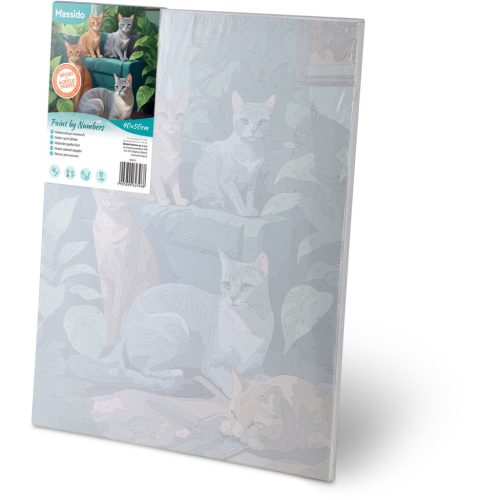 Számokkal festhető kép 40x50 cm Massido Cats