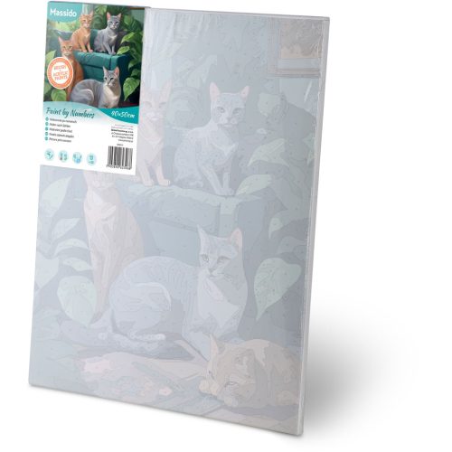 Számokkal festhető kép 40x50 cm Massido Cats