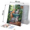 Számokkal festhető kép 40x50 cm Massido Cats