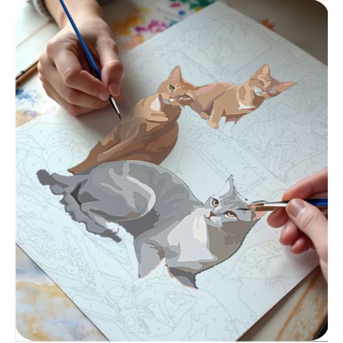 Számokkal festhető kép 40x50 cm Massido Cats