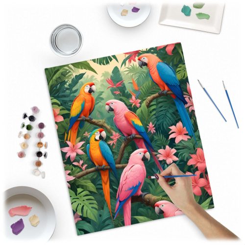 Számokkal festendő kép 40x50 cm Massido Papugi