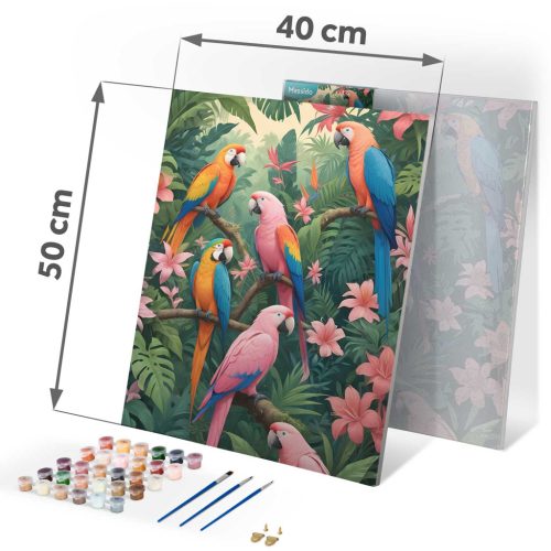 Számokkal festendő kép 40x50 cm Massido Papugi