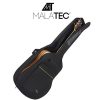 Guitar case