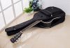 Guitar case
