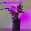 Lámpa 20 LED 2db növénynövekedéshez Gardlov 19241