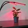 Lámpa 20 LED 2db növénynövekedéshez Gardlov 19241