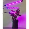 Lámpa 20 LED 3db növénynövekedéshez Gardlov 19242