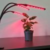 Lámpa 20 LED 3db növénynövekedéshez Gardlov 19242
