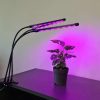 Lámpa 20 LED 3db növénynövekedéshez Gardlov 19242