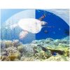 Full face snorkeling mask L/XL part 23462