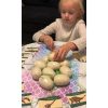 Dinoszauruszbánya – Kruzzel ásatások 24982
