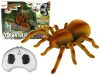 Távirányítós Tarantula Spider infravörös barna R/C