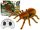Távirányítós Tarantula Spider infravörös barna R/C
