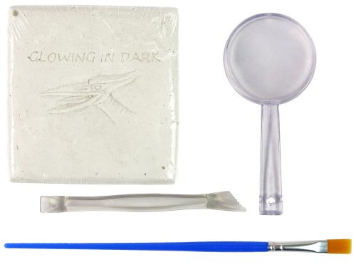 Régészeti ásatási készlet dinoszaurusz csontváz Pteranodon 3D hologram