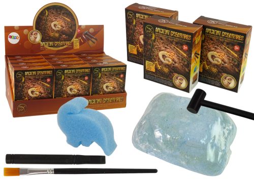 Ősi lények ásatási készlet Ammonite meglepetés