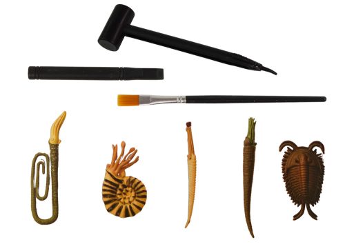 Ősi lények ásatási készlet Ammonite meglepetés