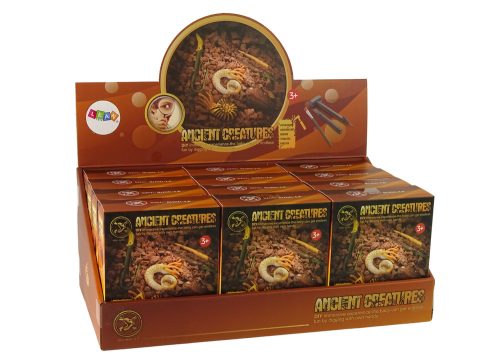 Ősi lények ásatási készlet Ammonite meglepetés