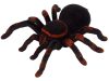 Távirányítású Tarantula Fekete R/C Pók