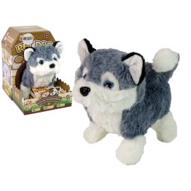 Interaktív Husky Dog Mascot Walks Moves Tail Sound