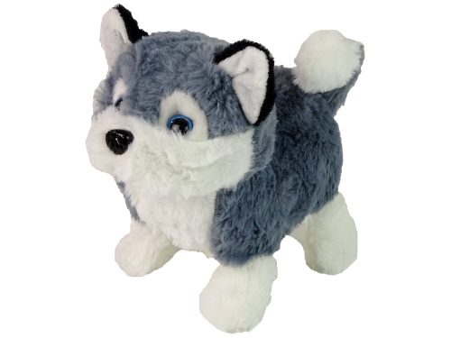 Interaktív Husky Dog Mascot Walks Moves Tail Sound