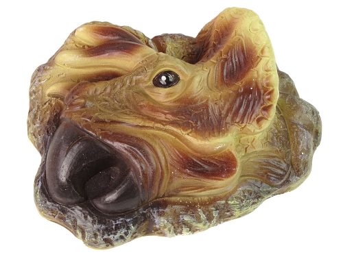 Triceratops dinoszaurusz ásatási oktatókészlet