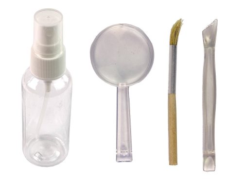 Ammonite cápa ásatási oktatókészlet