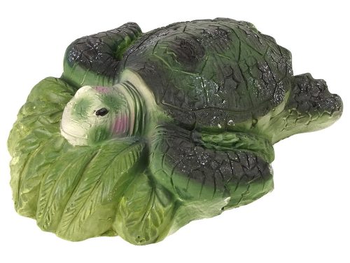 Ammonitteknős ásatási oktatókészlet