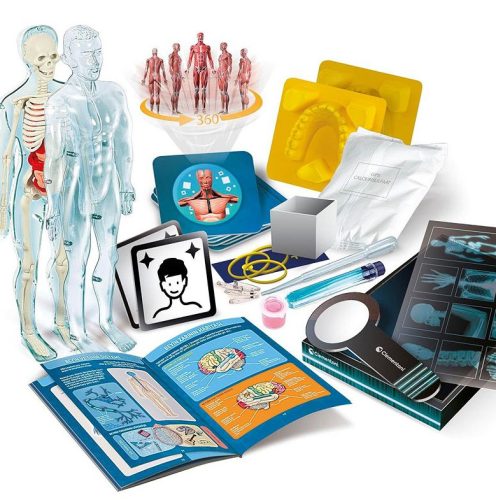 Tudományos móka Szuper Anatómia Lengyel Nyelv Clementoni 50919