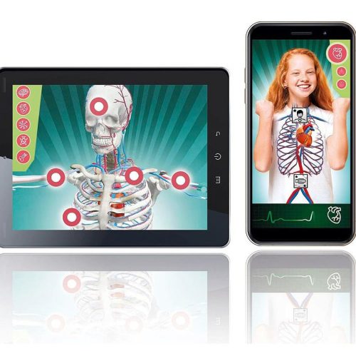 Tudományos móka Szuper Anatómia Lengyel Nyelv Clementoni 50919