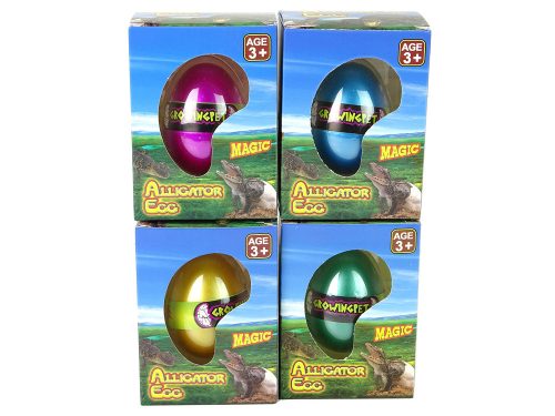 Növekvő krokodil alligátor tojás 6 cm